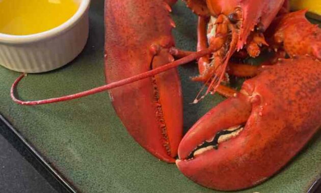 How to Cook Lobster Red Lobster Style A Delicious Recipe Guide